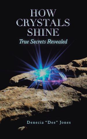 Cover of the book How Crystals Shine by Rev Dempsey Harshaw