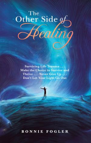 Cover of the book The Other Side of Healing by Lee Ann Perry