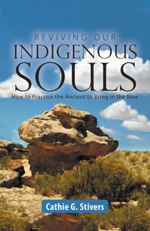 Cover of the book Reviving Our Indigenous Souls by Phil Tavolacci
