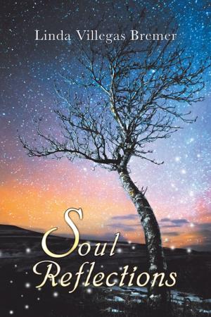 Cover of the book Soul Reflections by Christian Michael Steele MD