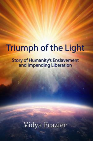 Cover of the book Triumph of the Light by Regis P. Sheehan