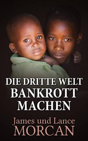 Cover of the book Die Dritte Welt Bankrott machen by Scott Godwin