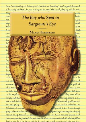 Book cover of The Boy who Spat in Sargrenti's Eye