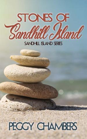 Cover of the book Stones of Sandhill Island by Cat  Dubie