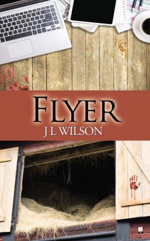 Cover of the book Flyer by Krysta  Scott
