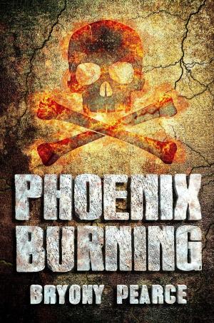 Cover of the book Phoenix Burning by Jason R. Rich