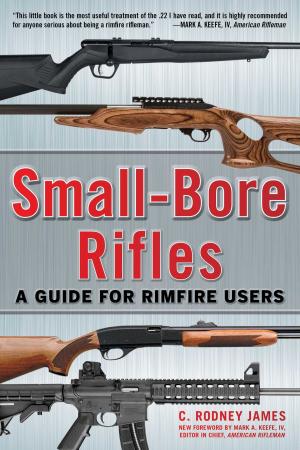 bigCover of the book Small-Bore Rifles by 