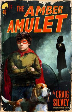 Cover of the book The Amber Amulet by Cara J. Stevens