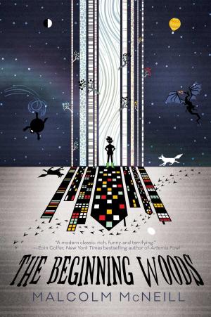 Cover of the book The Beginning Woods by Kate Louise