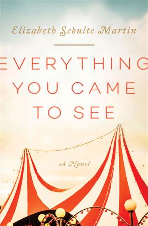 Cover of the book Everything You Came to See by Myles Dungan
