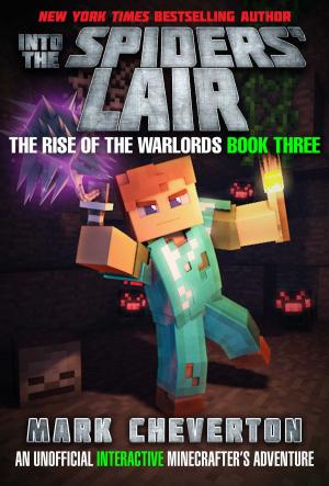 Cover of the book Into the Spiders' Lair by Kate Scott