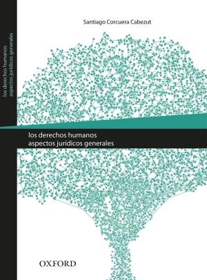 Cover of the book Los derechos humanos. Aspectos jurídicos generales by Markus Rathey