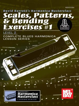 Cover of the book Scales, Patterns & Bending Exercises #1 by Carl Verheyen