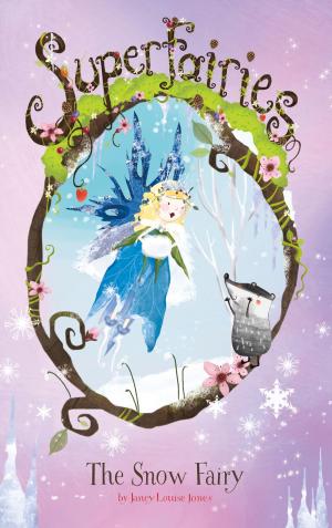 Cover of the book The Snow Fairy by Steve Korte