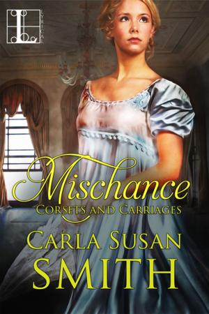 Cover of the book Mischance by Eileen Richards