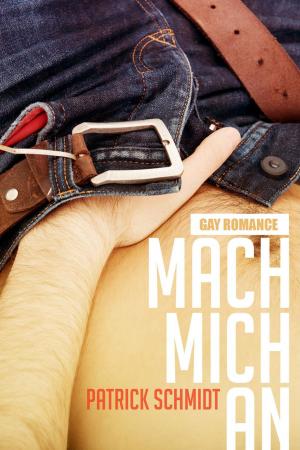 Book cover of Mach mich an: Gay Romance