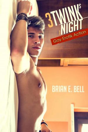Cover of the book 3 Twinks 1 Night: Gay Erotik Action by Daniel Castro