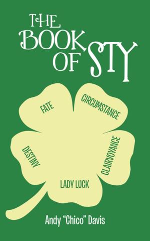 Cover of the book The Book of Sty by Jack Sholl