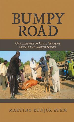 Cover of the book Bumpy Road by Awori Achoka