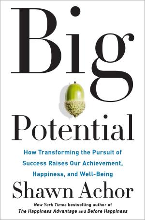Cover of the book Big Potential by Greg S. Reid