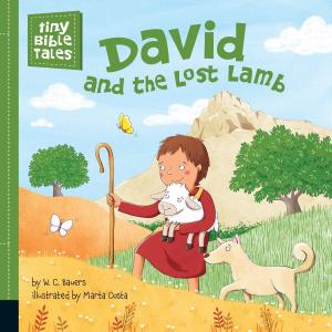 Cover of the book David and the Lost Lamb by Cate Tiernan