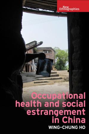 bigCover of the book Occupational health and social estrangement in China by 