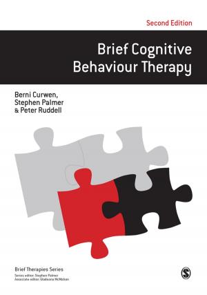 Cover of the book Brief Cognitive Behaviour Therapy by Professor Derek Layder