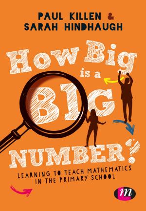 Cover of the book How Big is a Big Number? by Melanie Birks, Jane Mills