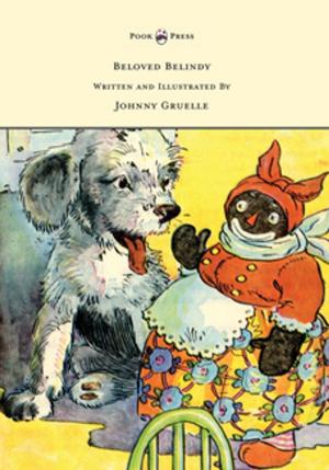 Book cover of Beloved Belindy - Written and Illustrated by Johnny Gruelle