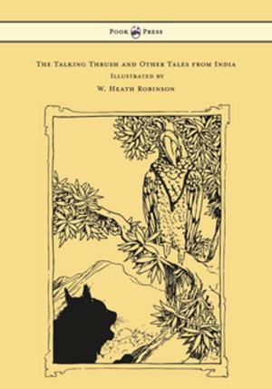 bigCover of the book The Talking Thrush and Other Tales from India - Illustrated by W. Heath Robinson by 