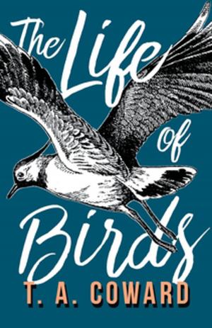 Cover of the book The Life of Birds by Johann Sebastian Bach
