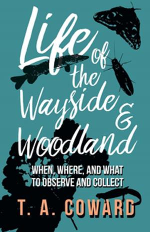 Cover of the book Life of the Wayside and Woodland - When, Where, and What to Observe and Collect by Ambrose Bierce