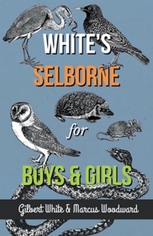 Cover of the book White's Selborne for Boys and Girls by Edward Chadwick