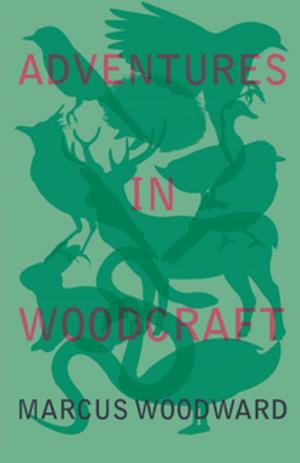 Book cover of Adventures in Woodcraft