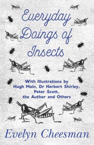 Cover of the book Everyday Doings of Insects - With Illustrations by Hugh Main, Dr Herbert Shirley, Peter Scott, the Author and Others by E. V. Lucas