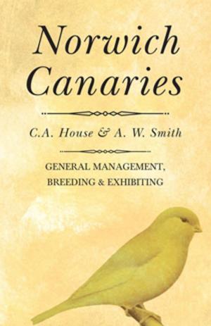 Cover of the book Norwich Canaries by Dave Craft, Horace A. Ford