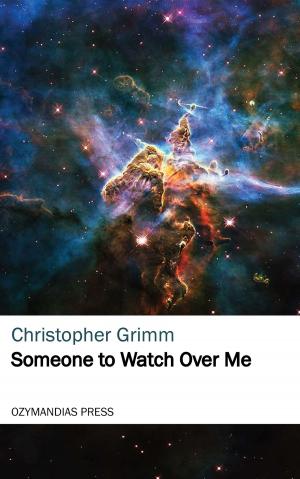 Cover of the book Someone to Watch Over Me by Charles Fontenay