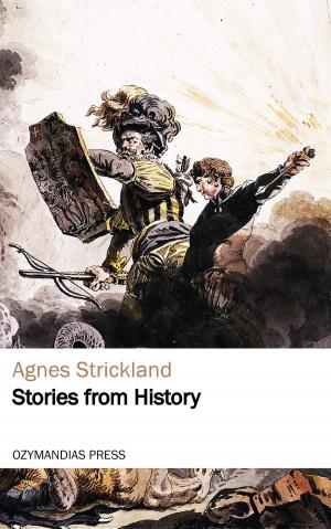 Cover of the book Stories from History by Arthur Zagat