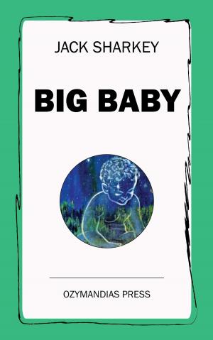 bigCover of the book Big Baby by 