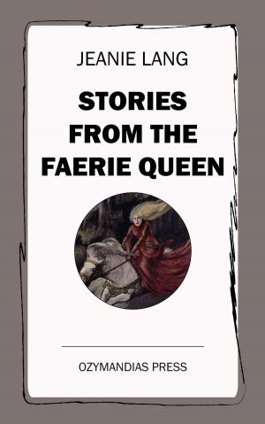 Cover of the book Stories from the Faerie Queen by Charles Kingsley