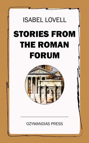 Cover of the book Stories from the Roman Forum by John Hay