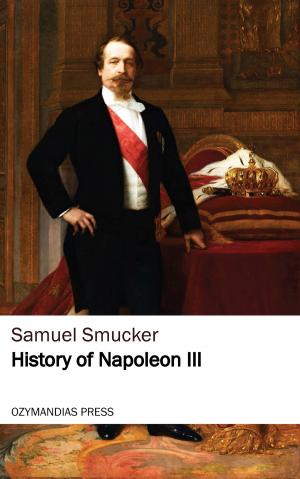 Cover of the book History of Napoleon the Third by James Schmitz