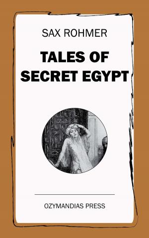 Cover of the book Tales of Secret Egypt by Plato