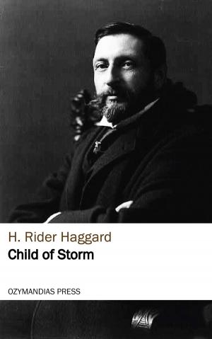 Cover of the book Child of Storm by W. Carew Hazlitt
