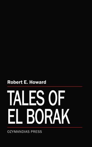 Cover of the book Tales of El Borak by Rick Raphael