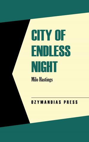 Cover of the book City of Endless Night by R.S. Townsend