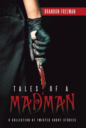 Cover of the book Tales of a Madman by Liso Makarius Starrett D. Min.