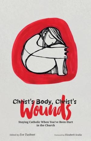 Cover of the book Christ's Body, Christ's Wounds by Brother Louis DeThomasis