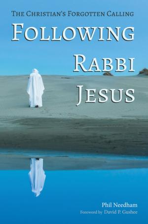 Book cover of Following Rabbi Jesus