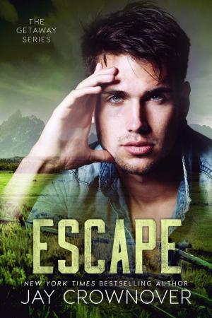 Cover of the book Escape by Linda Goodnight